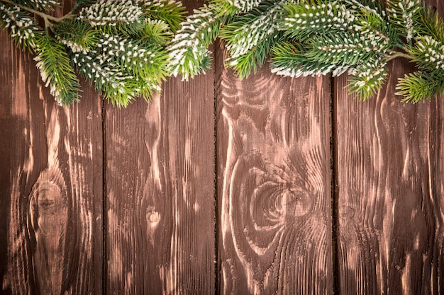 Christmas tree branch on wood background. Xmas holiday concept