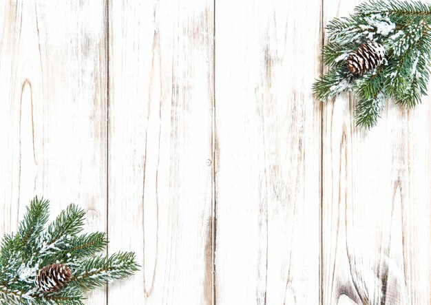 Christmas tree branches on bright wooden background