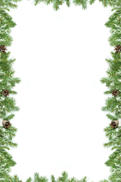 Photo christmas tree branches frame shape