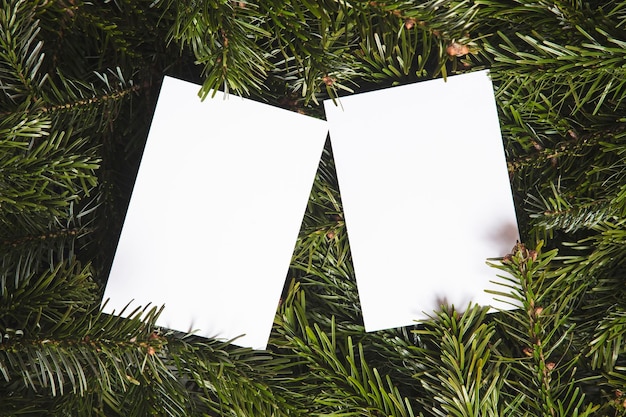 クリスマスツリーの枝は空白の白いカードで平らな背景を置きます
