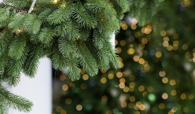 Christmas tree branches and lights garland