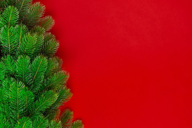 Christmas tree branches on a red background