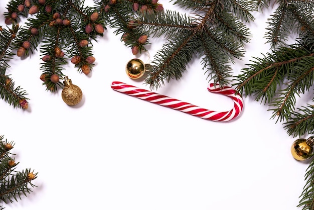 christmas tree branches on a white background. new year's copy space