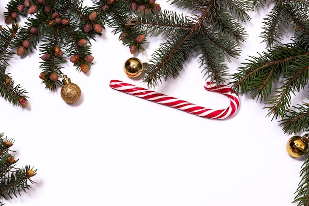 Christmas tree branches on a white background. new year's copy space