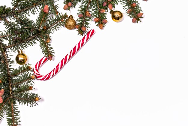 Christmas tree branches on a white background. new year's copy space