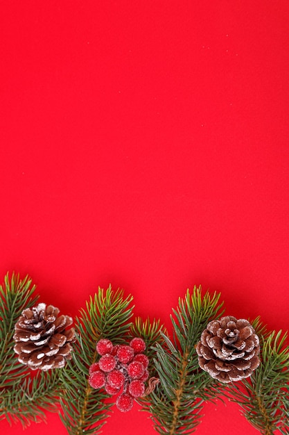 Christmas tree branches with cones on a red background closeup