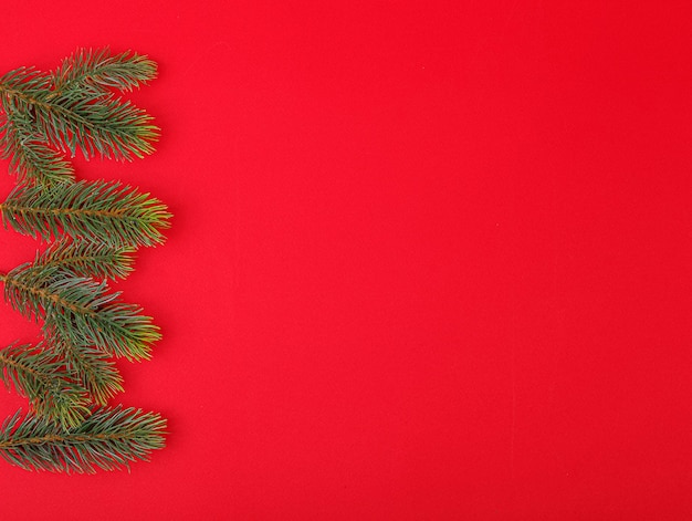 Christmas tree branches with cones on a red background