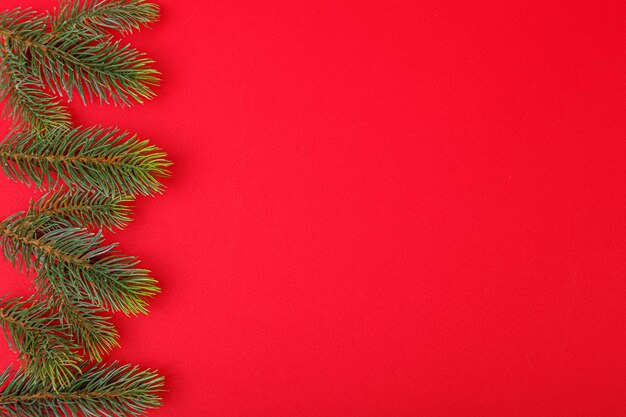 Christmas tree branches with cones on a red background