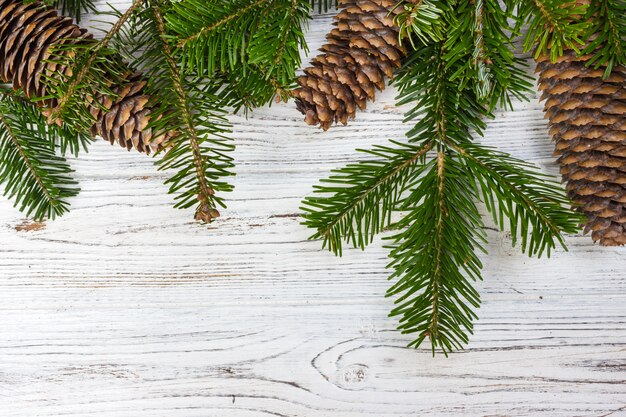 Christmas tree branches with cones