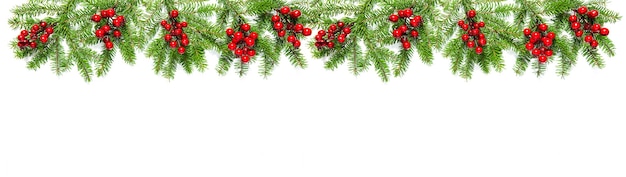 Christmas tree branches with red berries