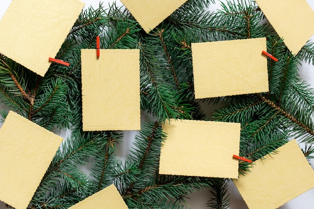 Rami di albero di natale con fogli di auguri o avviso sullo sfondo sempreverde