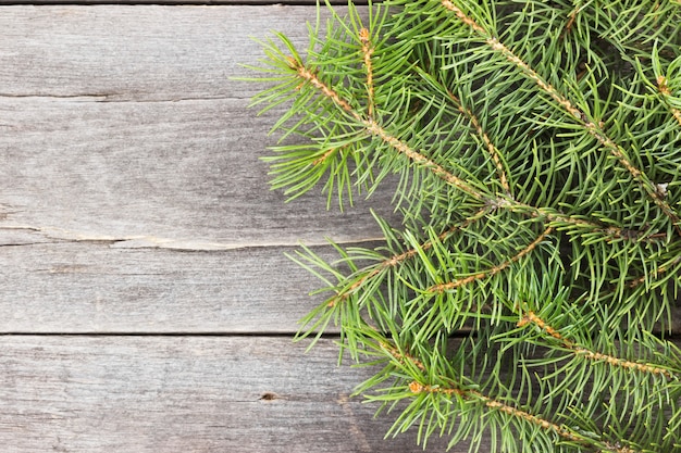 Christmas tree on dark wood