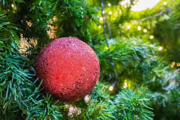Albero di natale decorato con palla rossa su sfondo di rami di pino