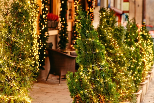 Christmas tree in decoration lights at outdoors cafe