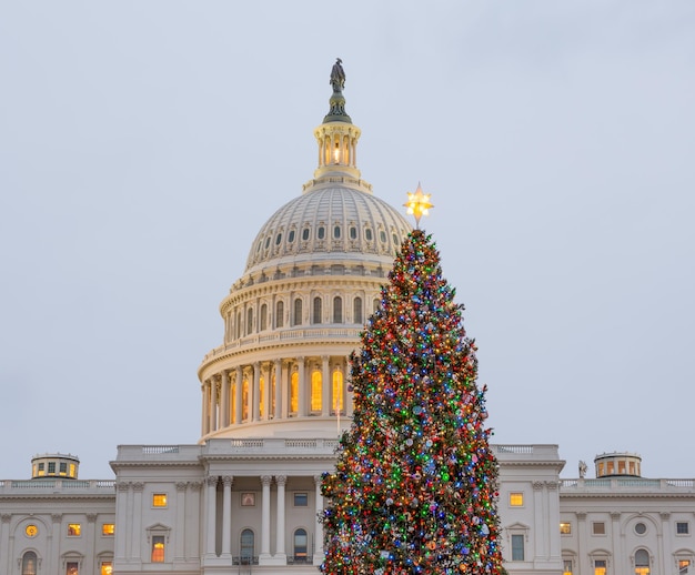 国会議事堂ワシントンDCの前のクリスマスツリー