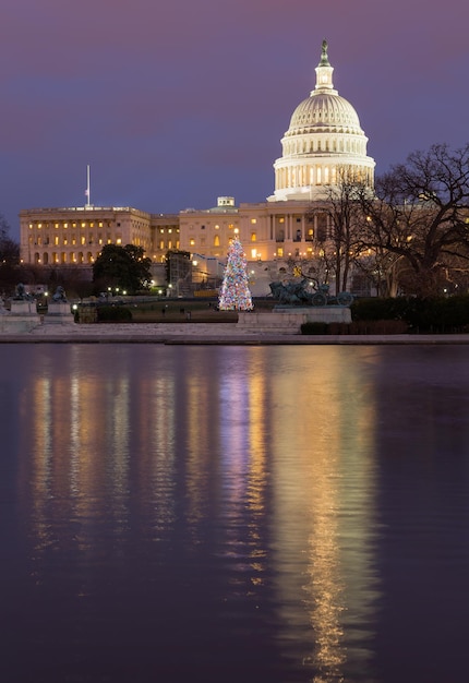 写真 国会議事堂ワシントンdcの前のクリスマスツリー