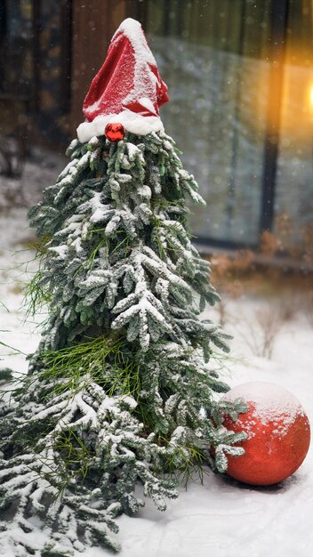 写真 路上でサンタさんの帽子のクリスマス ツリー