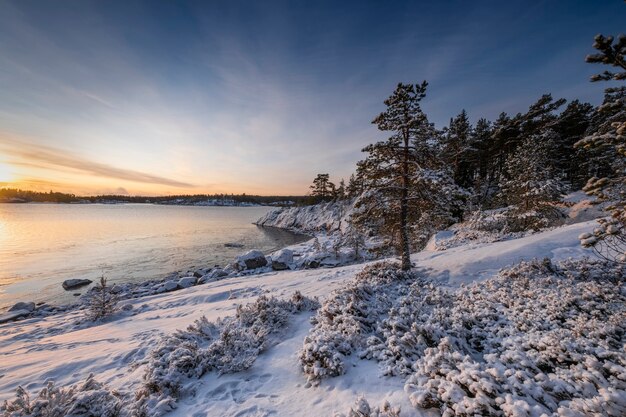 christmas-tree-in-the-snow-and-winter-sunrise-on-the-lake-ladoga-island_272999-294.jpg