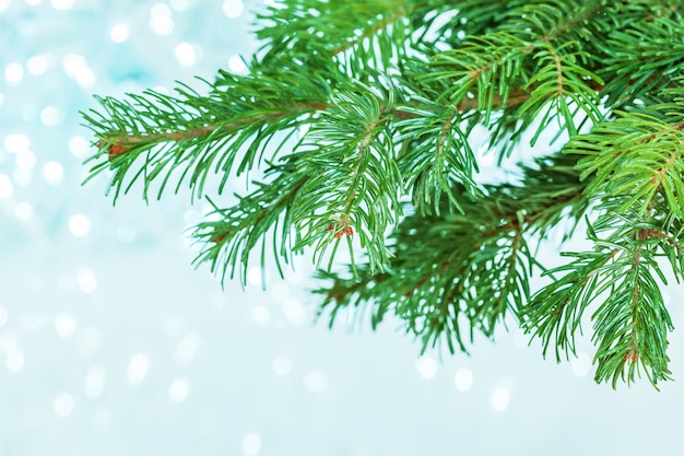 Christmas tree light background