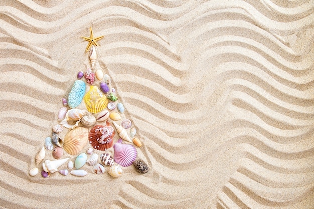 Christmas tree  made from shells and corals on beach sand, flat lay  background