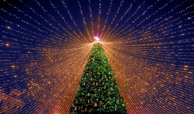 Foto albero di natale. il principale albero di natale dell'ucraina sulla piazza sofia. vista dal basso.