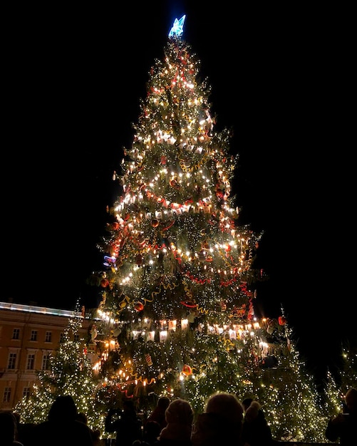 Рождественская елка в канун Нового года