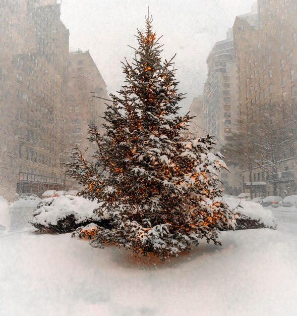 Premium Photo Christmas tree on park ave