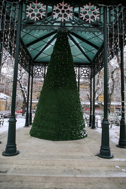 Christmas tree on a snowy street