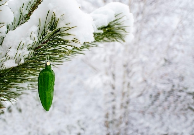 写真 クリスマスツリーのおもちゃ 緑のキュウリが雪で覆われた松の枝にぶら下がっている クリスマス 新年の背景