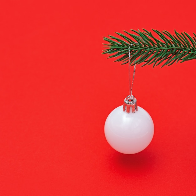 Christmas tree toy simple white ball hanging on green fir tree branch close up. 