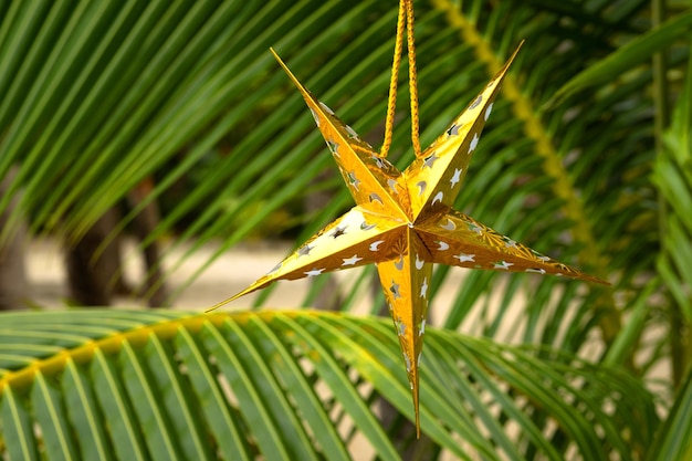 Foto decorazione di stelle giocattolo per albero di natale su albero tropicale con posto per il testo 2024
