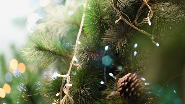 Christmas tree with beautiful lights.