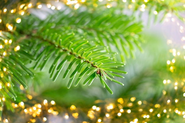 Christmas tree with bokeh lights