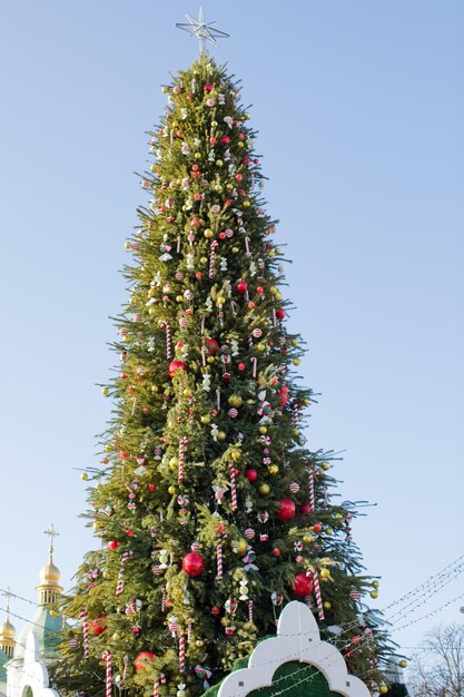 Christmas tree with cute sweets decorations outdoor Ukraine Kyiv