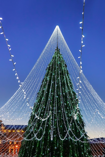 Christmas tree with decoration garlands installed at cathedral\
square in vilnius of lithuania. it has fairy lights as if bridal\
veiling. illuminated at night