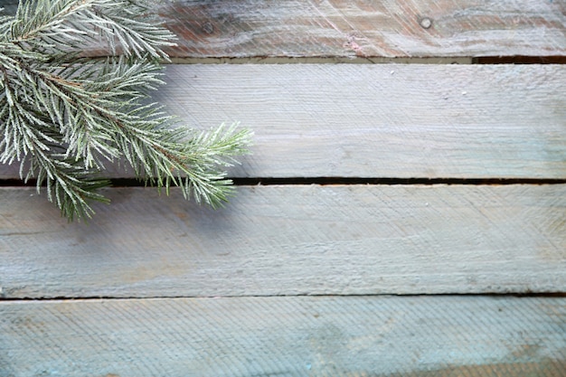 Christmas tree with frost on old wooden table