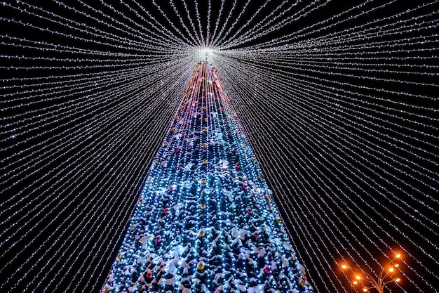 Christmas tree with lights on the background of the night sky