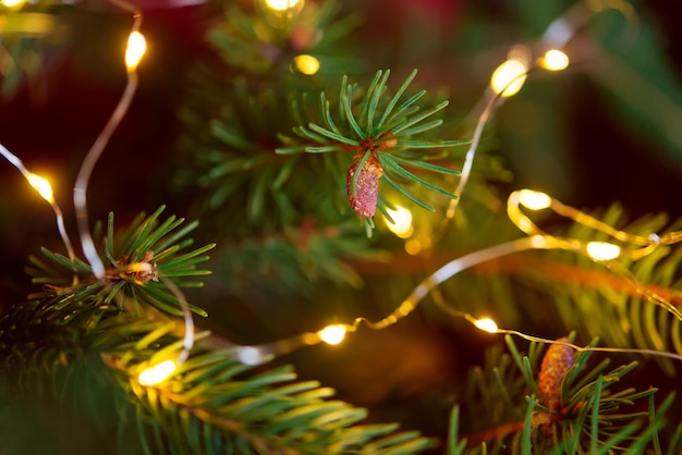 A christmas tree with lights and a pine cone