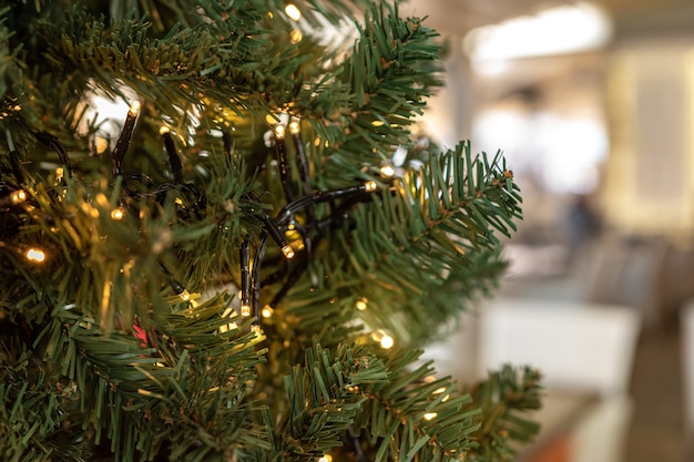 Christmas tree with lights