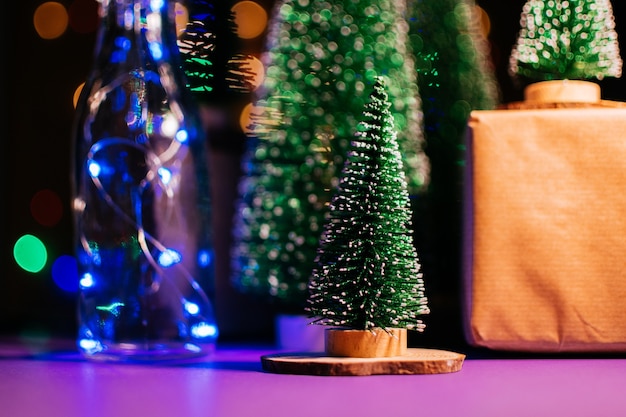 Christmas trees adorned with lights