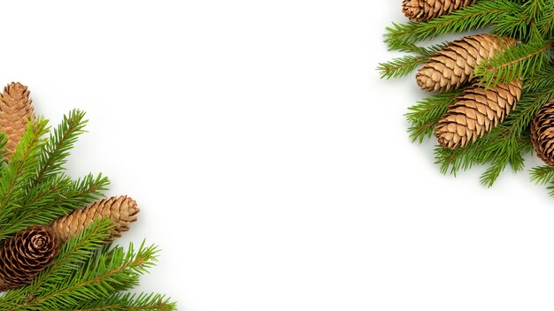 Christmas trees and cones lie on a white background at Christmas.