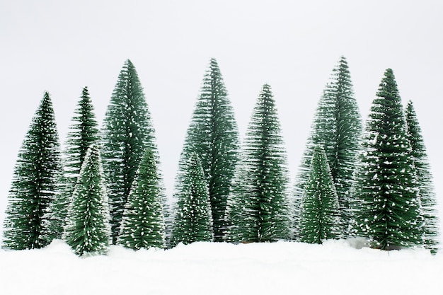 写真 冬の雪のクリスマスツリー