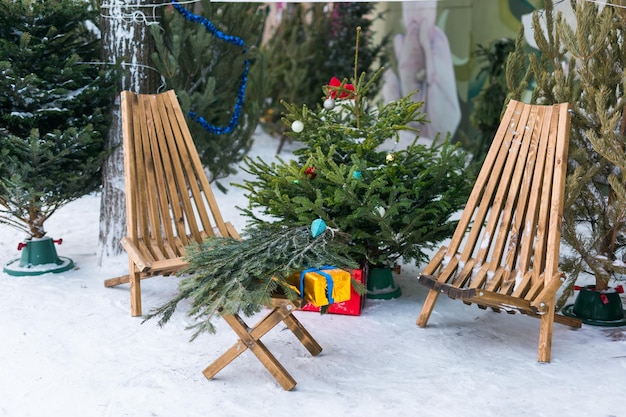 Christmas trees and spruce xmas branches for decoration in farm market for sale in winter holiday se