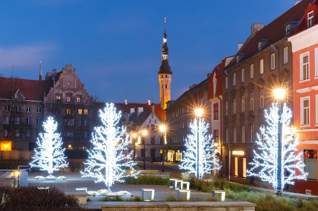 Christmas trees and Town Hall in Medieval Old Town, Tallinn, Estonia