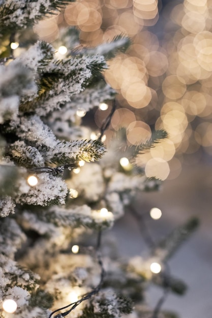 Christmas trees with lights and snow