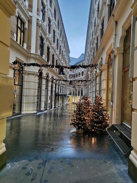 Foto passeggiata di natale