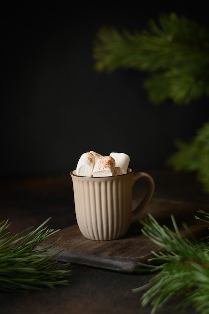 Christmas warming coffee or cocoa with marshmallow .