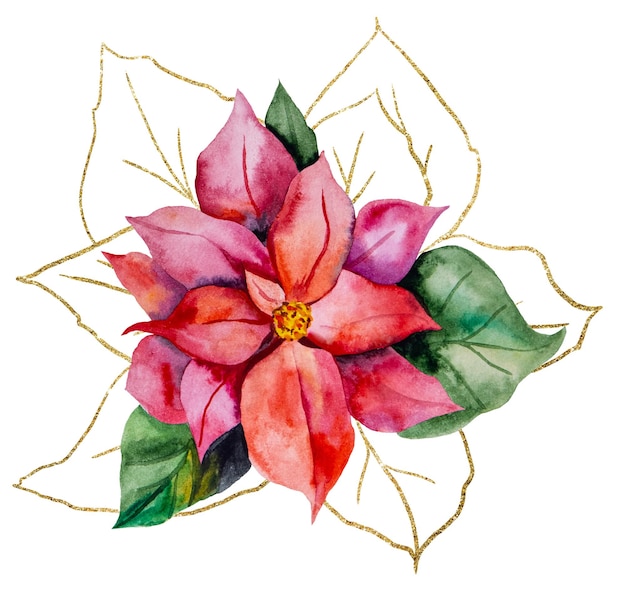 Christmas watercolor red Poinsettia flower illustration isolated colorful holiday party design element