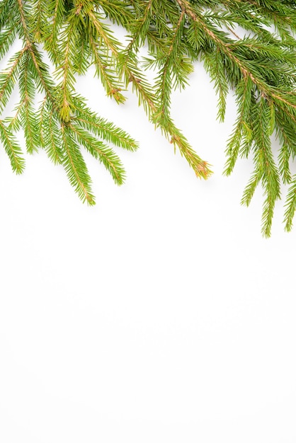 Christmas white background with a spruce branch, flat lay, top view, copy space