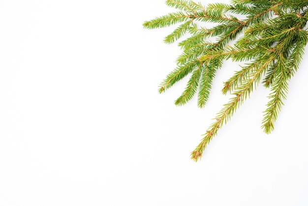 Foto sfondo bianco di natale con un ramo di abete, piatto, vista dall'alto